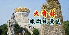 嫩小屄出水视频中国浙江-绍兴大香林旅游风景区
